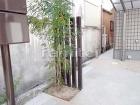 目隠しフェンス塀 セレビューフェンスRP... シンボルツリー シマトネリコ デザイン角...