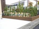 犬走り 防犯砂利 バラス敷きの外構施工例... 生垣 ギンマサキ 目隠し