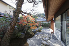 紅葉が彩る山の麓、静かに佇む日本家屋の改修工事。四季折々な庭の表情が楽しめます。京都の庭 リノベーション 紅葉が彩る山の麓、静かに佇む日本家屋の改修工事。四季折々な庭の表情が楽しめます。京都の庭 リノベーション