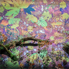 Van Cleef & Arpels 下鴨神社 御手洗社