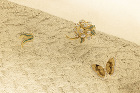 施工事例｜Van Cleef Arpel... /works/shop_vca_hosodono/img/vca_hosodono05.jpg