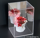 【規格】アクリルケース縦型背面ミラー（外寸）