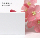 の商品一覧【はざいや】 /html/upload/save_image/product/enbi-kap-k5830ms-1.jpg