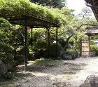 竹の藤棚