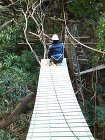 剪定作業