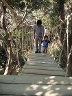 完成した吊橋