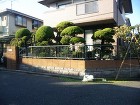 植木の手入れ