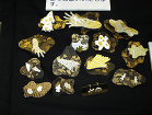 ユー・イー・エス大阪展示会　レポート（作... https://www.uesltd.co.jp/blog/wp-content/uploads/2012/10/20121012-01.jpg