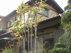横浜市中区　ガイナ　外壁・屋根塗装　塗替...