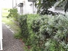 フェンス・ストックヤード工事｜外構リフォ...