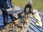 屋根葺き替え・トイレ取替え・雨樋取替え・...