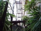 屋根塗装工事、外壁重ね張り工事|屋根リフ...