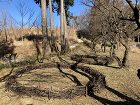 剪定　枝　再利用　植木屋　町田市