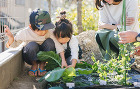 ガーデニング | エクステリア・ガーデニ... https://iwasakizoen.com/wp-content/uploads/2024/06/services_header_gardening.jpg