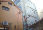 樹木伐採工事 | 外構工事・造園・エクス...