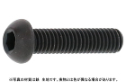 ボタンキャップボルト（ＧＯＳＨＯ（互省（ＳＳＳ（並目