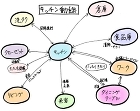 人の動き、気持ちを考えた使い易い家　動線　間取り