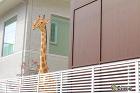 わんちゃんも楽しめるテラス | ひまわり... 施工例-174-6