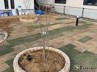 レンガ風の開放的なファサードお庭を楽しめ... works-img