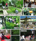 豊造園のこだわり | 名古屋市のエクステ... 自然を共に遊ぶイメージ