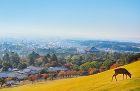 自然素材　ひのきの家　アシストホーム
