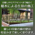 千葉県 東京都の造園 植栽 庭施工 【造... 植木による生垣の施工