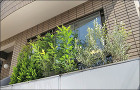 リビングの窓前へ、目隠し効果を取り入れるプランター植栽を-大田区S様邸