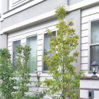 千葉県 東京都の造園 植栽 庭施工 【造... https://www.niimien.com/blog/wp-content/uploads/2021/03/eye-200x200.jpg