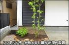 庭石組みで形取った花壇にシンボルツリーを合わせた植栽施工-文京区I様邸