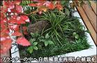 プランターの中へ自然風景を再現した植栽群を-世田谷区H様邸 プランターの中へ自然風景を再現した植栽群を-世田谷区H様邸