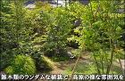 雑木類の植栽で庭を高原の様な雰囲気に-市川市F様邸 雑木類の植栽で庭を高原の様な雰囲気に-市川市F様邸