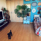 RoomClip写真投稿キャンペーン 「... 十人十家賞 gogohawaiiさんの作...