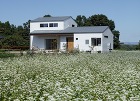 株式会社井川建築設計事務所 https://img.igawa-arch.com/img/projects/82_9.jpg