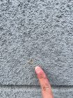 【一関市】やはり専門家。屋根塗装や外壁塗... 【一関市】やはり専門家。屋根塗装や外壁塗...