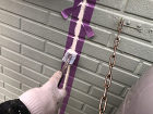 山武市井之内戸建て外壁塗装｜サイディング...