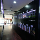 Buddy2 BOBTAIL | 岐阜県... /wp-content/uploads/2015/07/018abf6b9f3f79aecfc28af2308dabd7a1a449d7b0-150x150.jpg