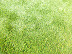 20200507_k03