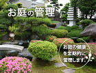 お庭の管理