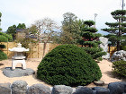 和風の庭施工例（9）　山口造園 https://www.uekiyasan.jp/ex/wp-content/uploads/2016/05/wa09_01.jpg