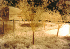 WORKS｜長野県北佐久郡軽井沢を想定し... works/hoyo_k/hoyo_k630png/hoyo_k3-1b.jpg