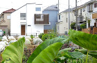 WORKS|菜園の緑を取込む家 GREE... 菜園の緑を取り込むシンプルモダンな住宅外...