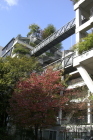 第29回大阪都市景観建築賞（大阪まちなみ... next21_mahinami.JPG