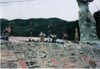 虹の泉−作品集