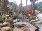 長崎の植木屋　株式会社ガーデンエイジ　剪... /00008.jpg