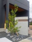 RC打ち放し風塗装仕上げの門柱がポイント... RC打ち放し風塗装仕上げの門柱がポイント...