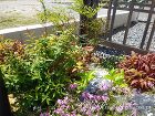 天然木のようなこだわりの表情を持つ門柱 ... 天然木のようなこだわりの表情を持つ門柱 ...