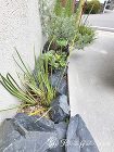 狭小地で見栄えのあるオープンスタイル　京... 狭小地で見栄えのあるオープンスタイル　京...