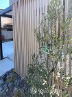 Gスクリーンを玄関前の目かくしに 大津市... Gスクリーンを玄関前の目かくしに 大津市