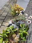 それぞれのご希望を叶えた敷地内2世帯住宅の外構　東近江市