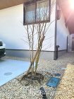 シンプルモダンを追求した平屋建ての外構　... シンプルモダンを追求した平屋建ての外構　...